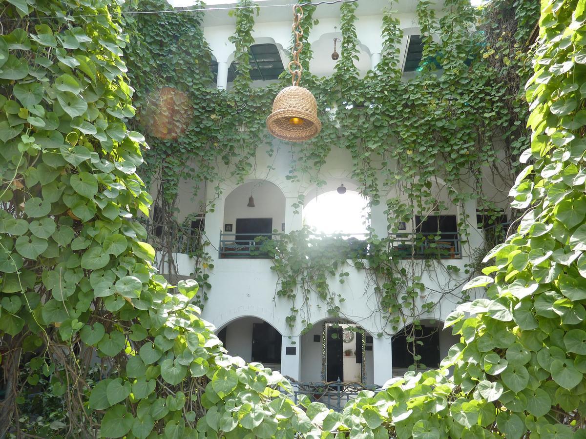 Inn Seventh Heaven Pushkar Eksteriør bilde