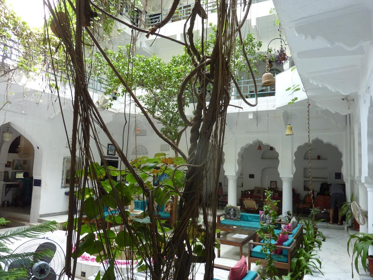 Inn Seventh Heaven Pushkar Eksteriør bilde